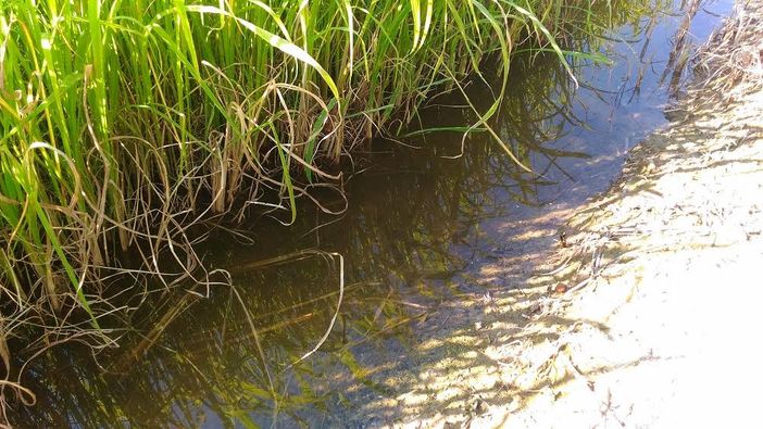 La "guerra" dell'acqua La "guerra" dell'acqua