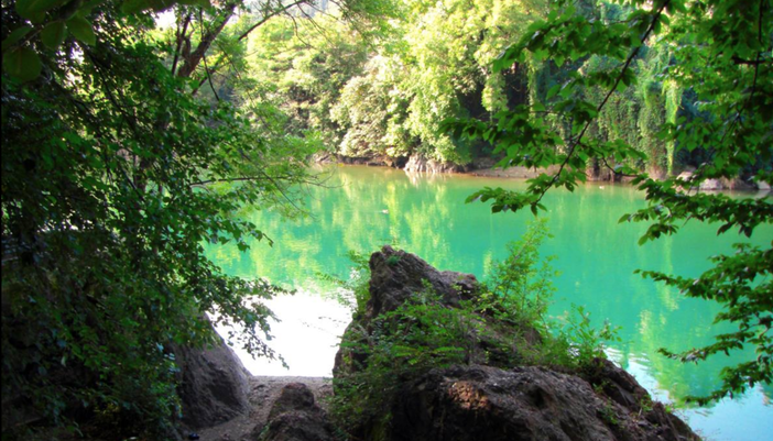 Un serpentello al Parco Magni: nessun pericolo, ma verrà catturato