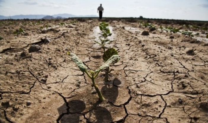 Siccità: ordinanze in 9 Comuni tra vercellese e biellese, 12 interventi con autobotte Siccità: ordinanze in 9 Comuni tra vercellese e biellese, 12 interventi con autobotte