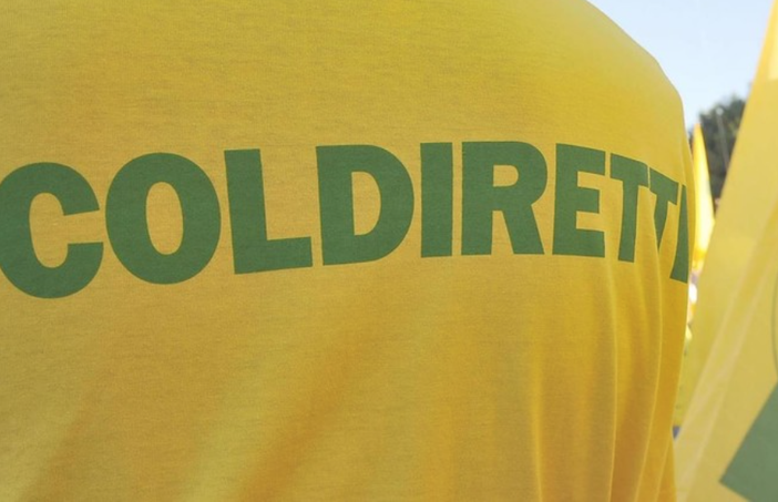 Il Consiglio regionale del Piemonte dice no ai cibi sintetici Il Consiglio regionale del Piemonte dice no ai cibi sintetici