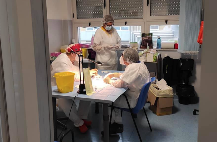 Vaccinazioni Covid: partiti i richiami tra il personale sanitario. V-day per gli over 80