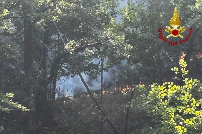 Incendi in Valsesia, si lavora per la messa in sicurezza delle zone colpite