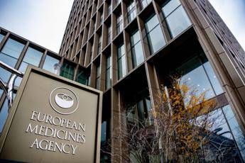 Ema ritira dal mercato dell'Ue i farmaci contenenti levamisolo, quali sono i rischi
