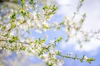 Sole e caldo con picchi estivi, ma non dura: il meteo dei prossimi giorni Sole e caldo con picchi estivi, ma non dura: il meteo dei prossimi giorni