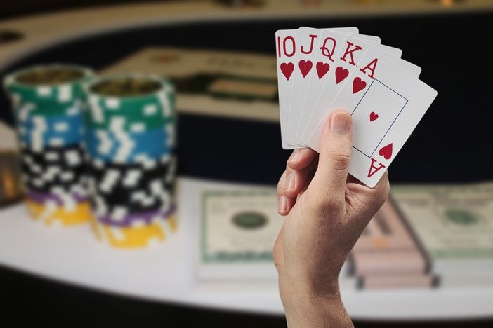 Ecco Bestia, il gioco di carte Ecco Bestia, il gioco di carte