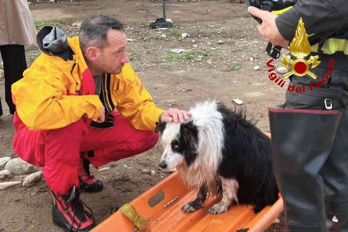 blob:https://publisher.morenews.it/7476a91c-7a94-43ae-865d-c4013ef22c2d blob:https://publisher.morenews.it/7476a91c-7a94-43ae-865d-c4013ef22c2d