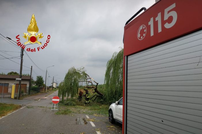 Villarboit, danni per la caduta di un albero