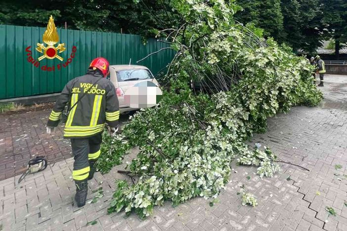 Grandinata e danni a Borgosesia, cade un albero e centra tre vetture