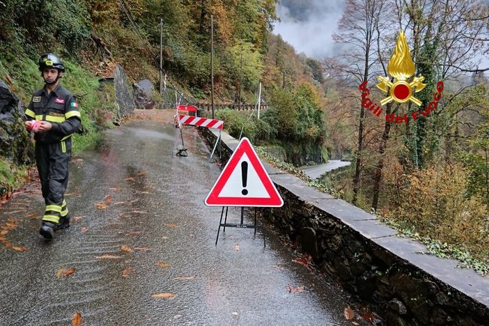 Maltempo a Varallo, albero caduto trancia i cavi telefonici Maltempo a Varallo, albero caduto trancia i cavi telefonici