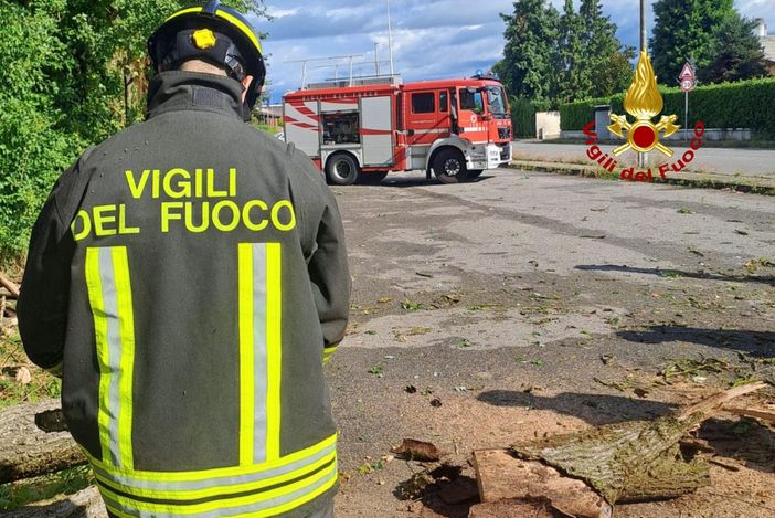 Via Bertinetti, cade un albero sulla strada Via Bertinetti, cade un albero sulla strada