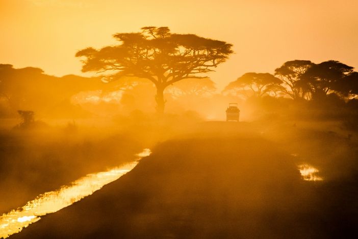 Safari in Africa: Gli Itinerari Che Meglio Raccontano la Grande Fauna del Continente Safari in Africa: Gli Itinerari Che Meglio Raccontano la Grande Fauna del Continente