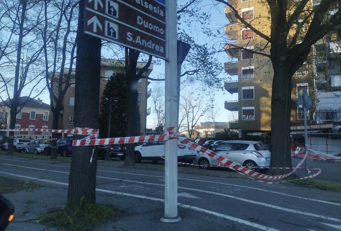 Forte vento, decine di interventi per pali, alberi e cornicioni pericolanti