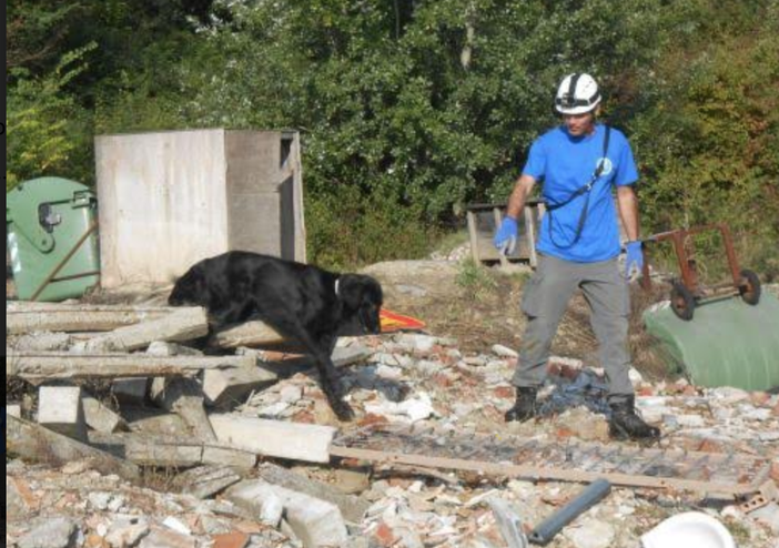 Selezione per i campionati mondiali di cani da soccorso Selezione per i campionati mondiali di cani da soccorso