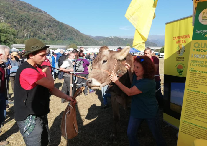Coldiretti alla Fiera del bestiame di Doccio