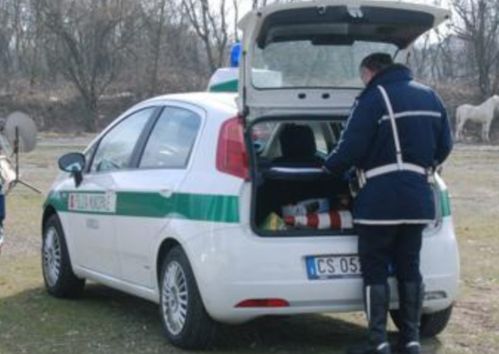 Otto cani morti gettati in un fosso