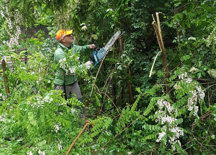 Diluvio e rami spezzati a Borgosesia: a liberar la strada ci pensa l'assessore