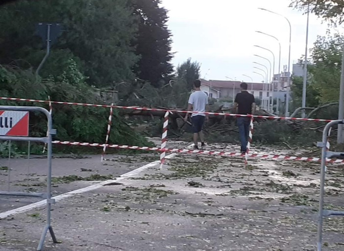 Nuovi giochi nelle aree verdi