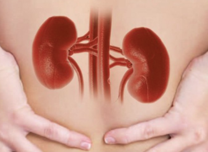 La salute dei reni per tutti e ovunque La salute dei reni per tutti e ovunque