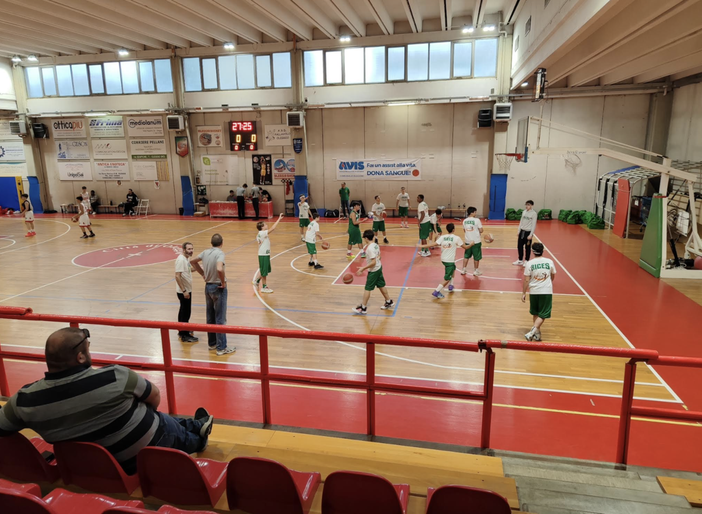 La 15 Gold alla gara d'esordio, a Oleggio La 15 Gold alla gara d'esordio, a Oleggio