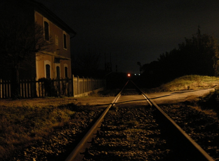 Il treno investe una mandria di mucche Il treno investe una mandria di mucche