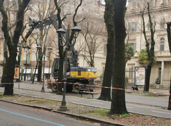 Lavori in viale Garibaldi, se ne parla lunedì in Comune (aperto al pubblico) Lavori in viale Garibaldi, se ne parla lunedì in Comune (aperto al pubblico)