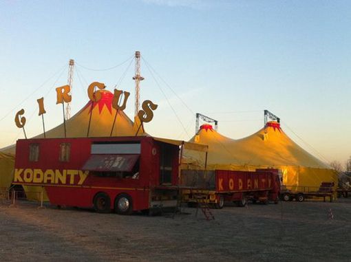 Arriva il circo, ma senza animali