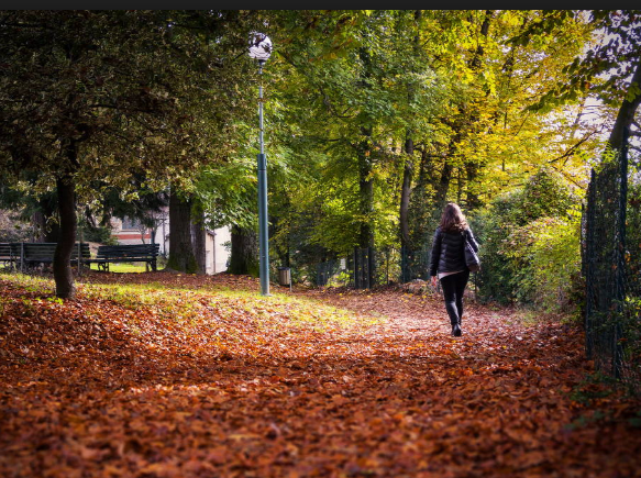 Compendio Parco Magni: in arrivo un nuovo bando per la gestione Compendio Parco Magni: in arrivo un nuovo bando per la gestione