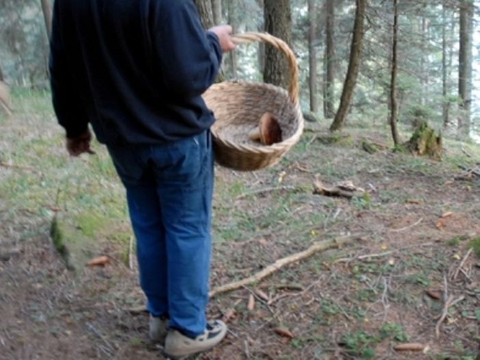 Malore fatale per un cercatore di funghi