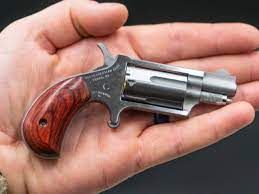 Un modello dell'arma dalla quale è partito il colpo a Rosazza Un modello dell'arma dalla quale è partito il colpo a Rosazza