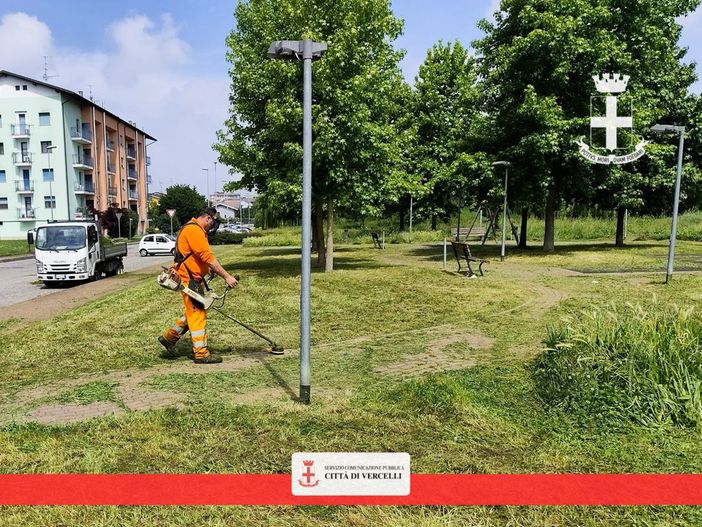 Verde, il piano degli interventi della settimana