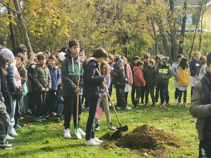 Giornata dell'Albero nel bosco della scuola media Pertini - FOTO Giornata dell'Albero nel bosco della scuola media Pertini - FOTO