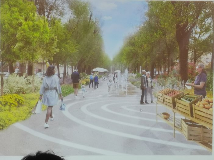 Il nuovo viale Garibaldi; piante, arbusti, pista ciclabile e... polemiche