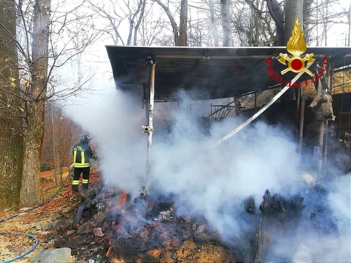 A fuoco un ricovero per animali A fuoco un ricovero per animali