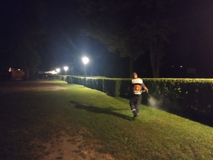 Zanzare, disinfestazione su tombini e verde pubblico