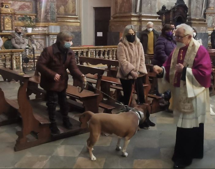 Torna la benedizione degli animali