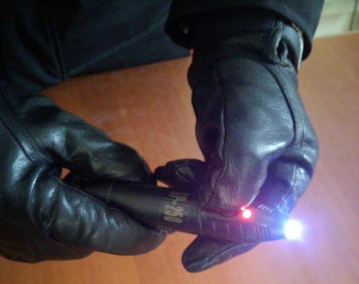 Cerca di colpire il cane da guardia con il taser: nei guai un 73enne Cerca di colpire il cane da guardia con il taser: nei guai un 73enne