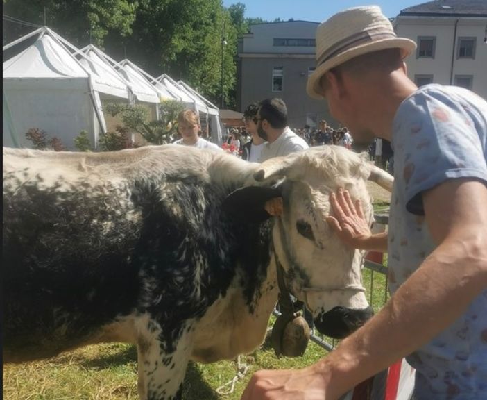 La Fattoria in Città: numeri e curiosità di una manifestazione di successo. Oltre 8000 i partecipanti ai laboratori La Fattoria in Città: numeri e curiosità di una manifestazione di successo. Oltre 8000 i partecipanti ai laboratori