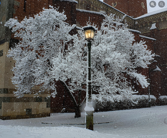 Foto di Laura Cappiello