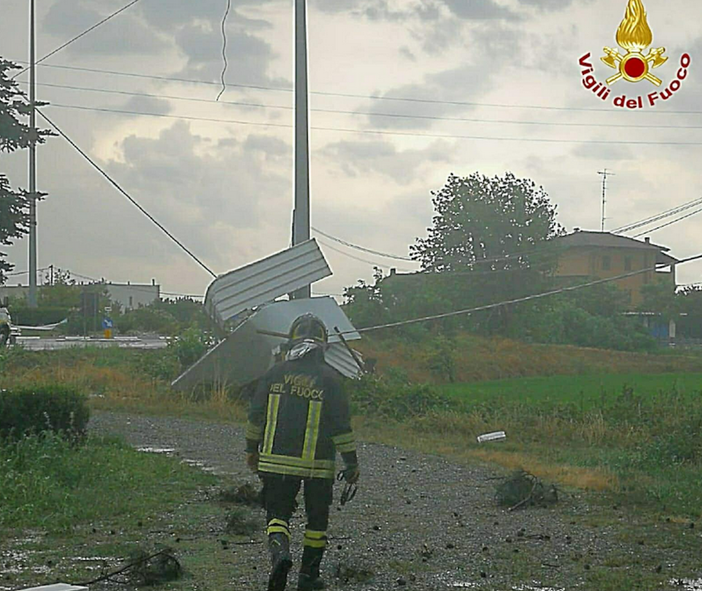 Disastri per il vento: abbattuti alberi e pali del telefono