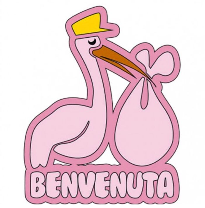 Fiocco rosa per la consigliera Babudro: è nata Diana Sofia Fiocco rosa per la consigliera Babudro: è nata Diana Sofia