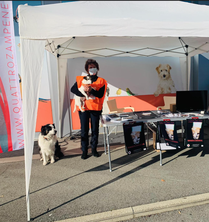 "Quattro zampe nel cuore" festeggia i 20 anni di Cascina Porta