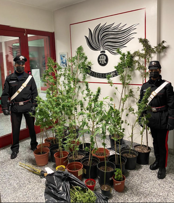 Fermato con la "droga di Natale"