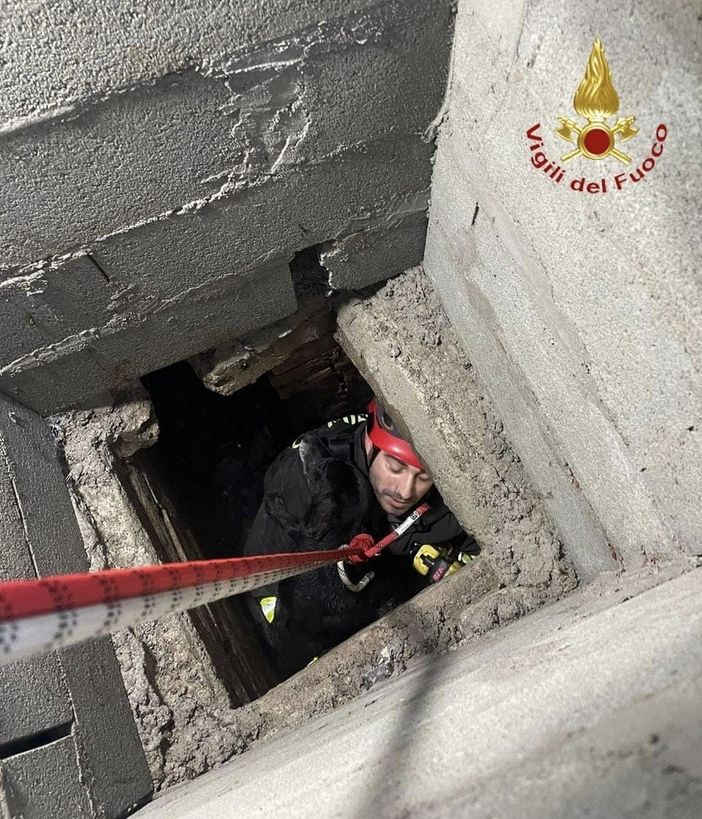 Discesa nel pozzo per salvare un cane intrappolato Discesa nel pozzo per salvare un cane intrappolato