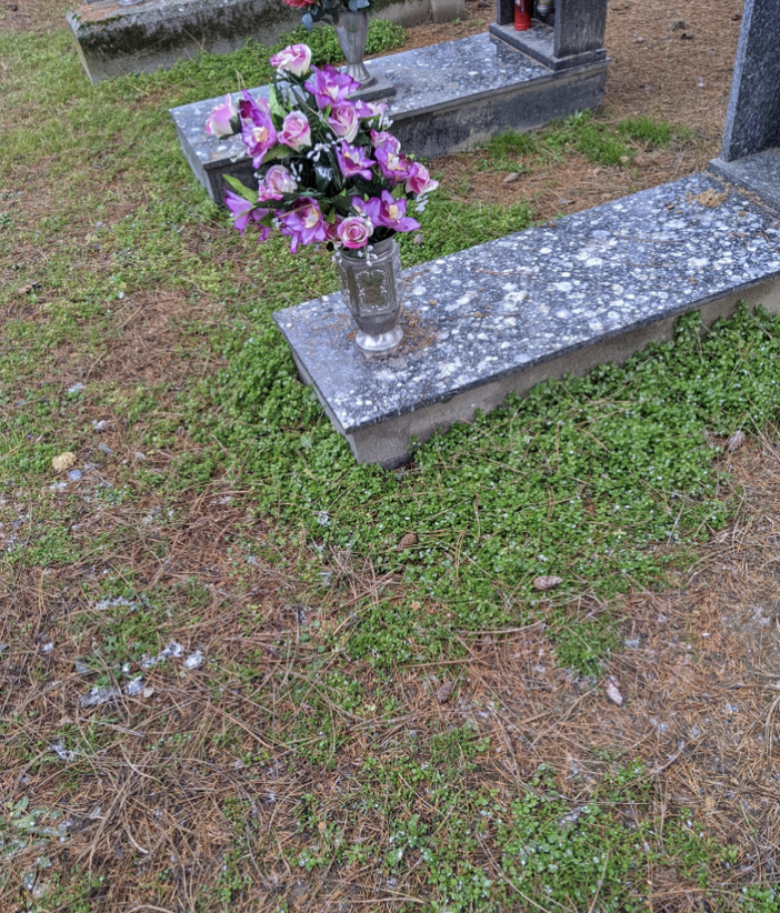 Borgo Vercelli: stato indecoroso del camposanto