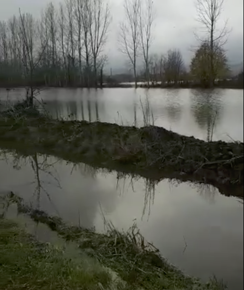 Maltempo: il Po è ancora alto, ma il peggio è passato