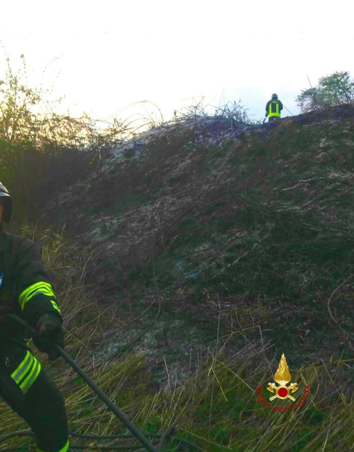 San Genuario: a fuoco sterpaglie e un canneto San Genuario: a fuoco sterpaglie e un canneto