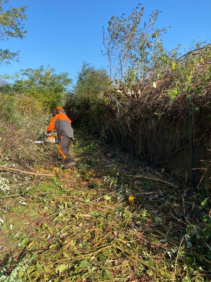 Bonaccio: «Stufi di aspettare la Regione, la pulizia del Sesia la paghiamo noi» Bonaccio: «Stufi di aspettare la Regione, la pulizia del Sesia la paghiamo noi»