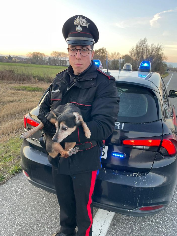 All'inseguimento di Lady, sperduta sulla provinciale All'inseguimento di Lady, sperduta sulla provinciale