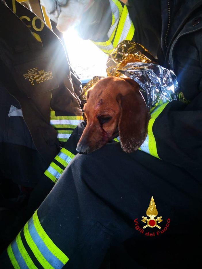 Ferito e incastrato in un tubo: salvato dai Vigili del Fuoco Ferito e incastrato in un tubo: salvato dai Vigili del Fuoco