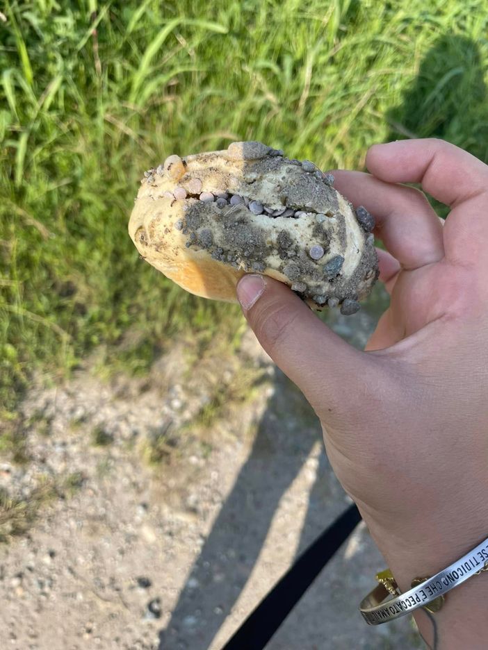 Allarme esche "sospette" nelle stradine di campagna Allarme esche "sospette" nelle stradine di campagna